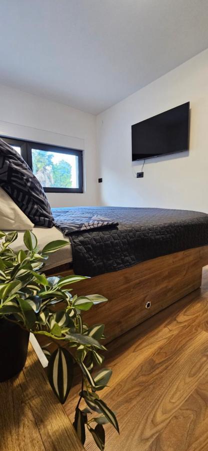Betty Apartments Borik - Whole Ground Floor Rovinj Kültér fotó